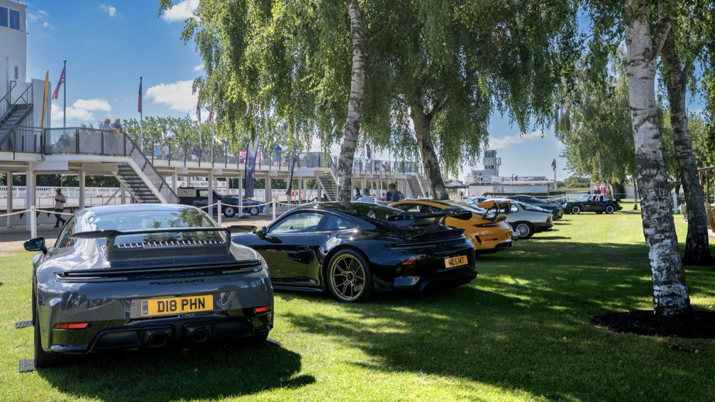 Porsche 911s lined up on the grass at Goodwood